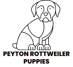 PEYTON ROTTWEILER PUPPIES